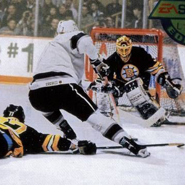 NHL Hockey 94