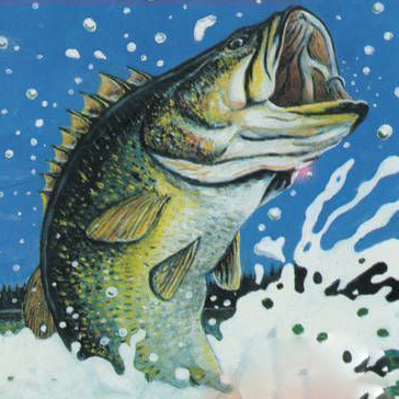 Giải Đấu Câu Cá Bass TNN Outdoors 96