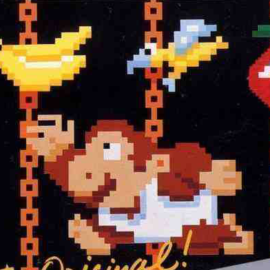Donkey Kong Jr.