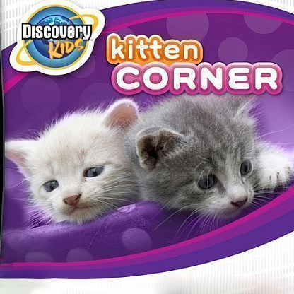 Discovery Kids: Sudut Anak Kucing
