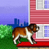 Beethoven 2 - L'Avventura Canina Suprema!
