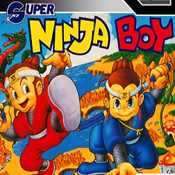 Super Ninja Boy