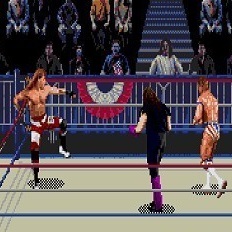 WWF WrestleMania 95
