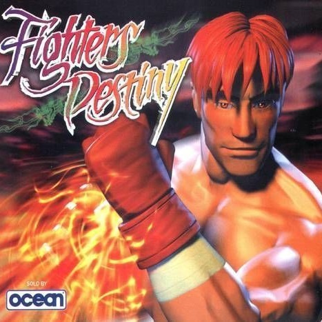 Fighter's Destiny