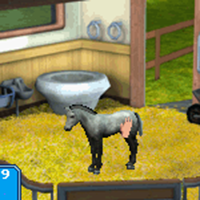 Best Friends: My Horse