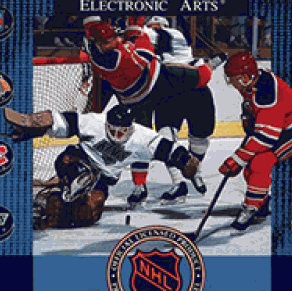 NHL冰球91