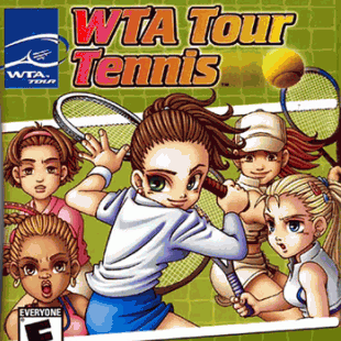 Теннис WTA Тур