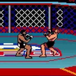 Ultimate Fighting Championship